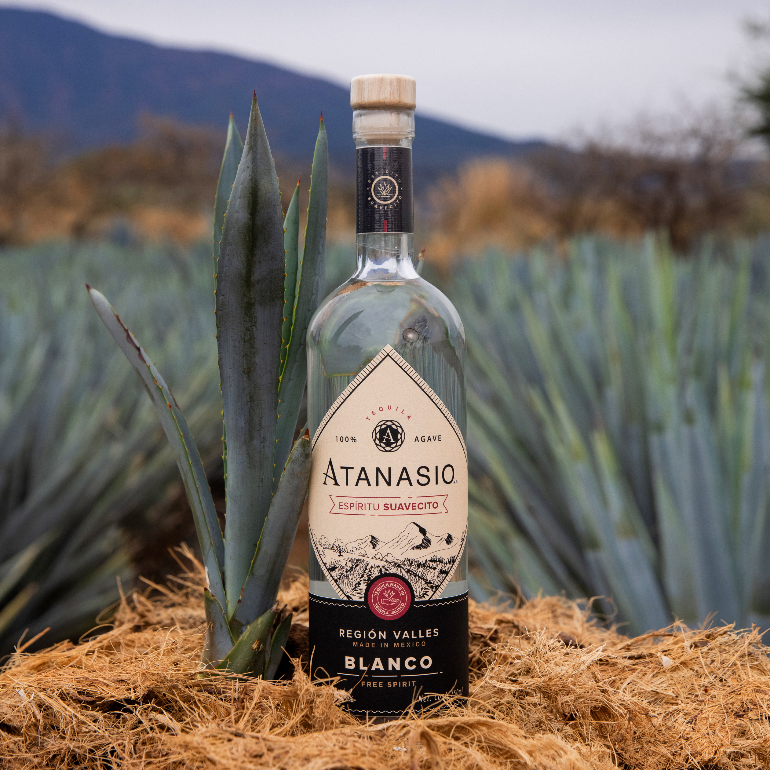 Tequila Atanasio “Suavecito”, Blanco 35% ABV