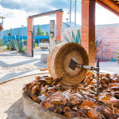 Artisanal Mezcal