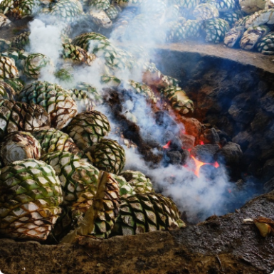 Mode de cuisson pour le mezcal