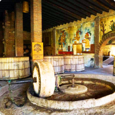 Extraction du jus (broyage)