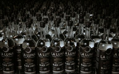 The Rise of Agave Spirits in the United Kingdom: Imports, Market Dynamics and Future Potential